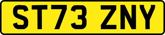 ST73ZNY