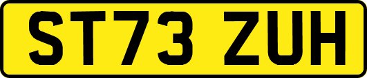 ST73ZUH