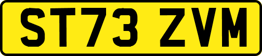 ST73ZVM