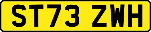 ST73ZWH