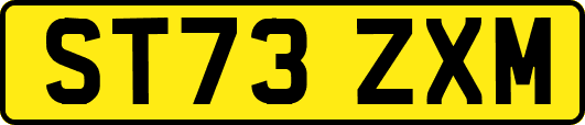 ST73ZXM
