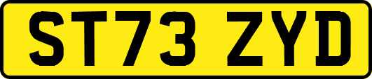 ST73ZYD