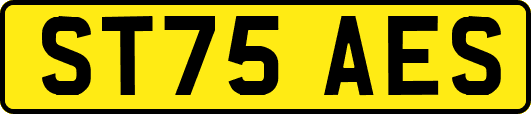 ST75AES