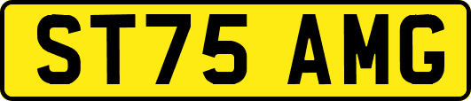 ST75AMG