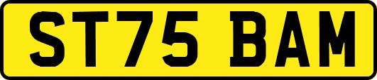 ST75BAM