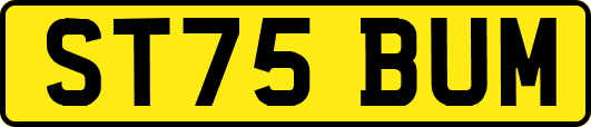 ST75BUM