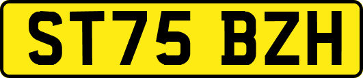 ST75BZH