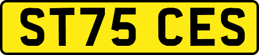 ST75CES