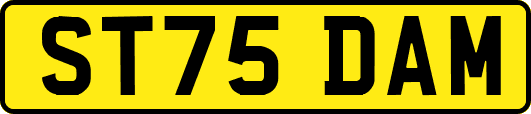 ST75DAM