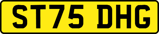 ST75DHG