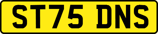 ST75DNS