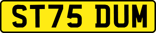ST75DUM