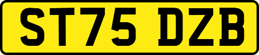 ST75DZB