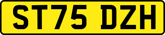 ST75DZH