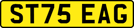 ST75EAG