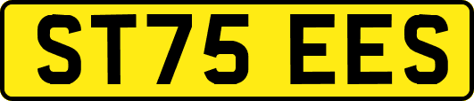ST75EES