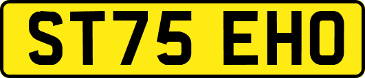 ST75EHO