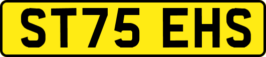 ST75EHS