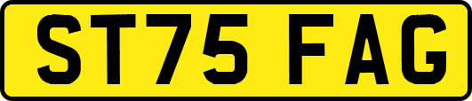 ST75FAG