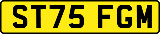 ST75FGM