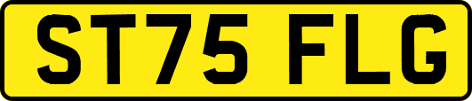 ST75FLG