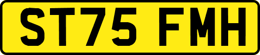 ST75FMH