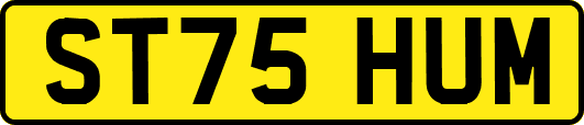 ST75HUM