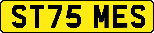 ST75MES