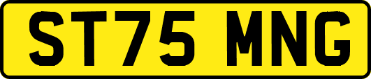 ST75MNG