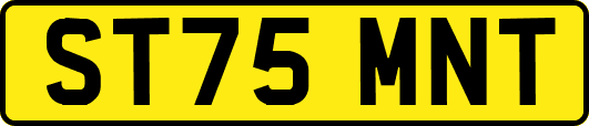 ST75MNT