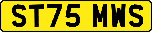 ST75MWS