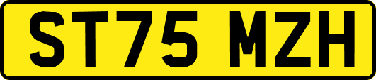 ST75MZH
