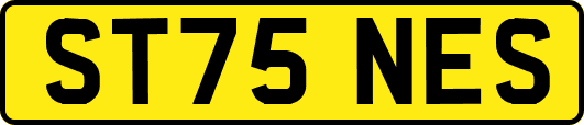 ST75NES