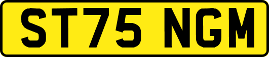 ST75NGM