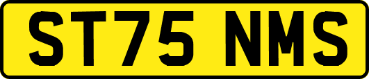 ST75NMS