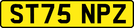 ST75NPZ