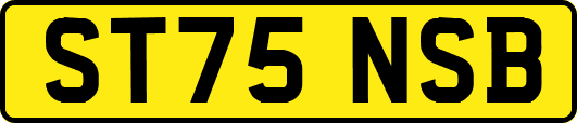 ST75NSB