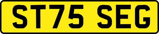 ST75SEG