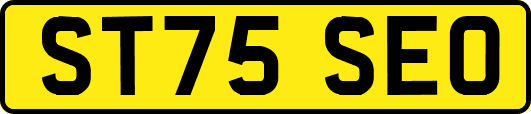 ST75SEO