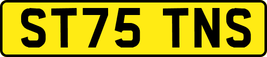 ST75TNS