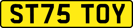ST75TOY