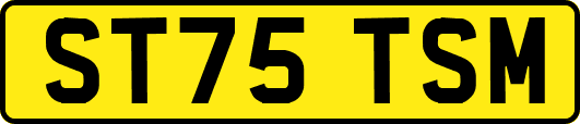ST75TSM