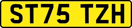 ST75TZH