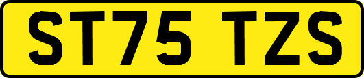 ST75TZS