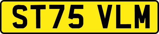 ST75VLM