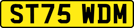 ST75WDM