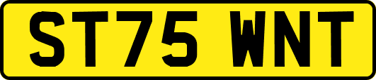 ST75WNT