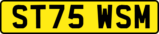 ST75WSM