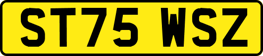 ST75WSZ