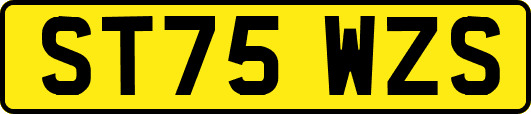 ST75WZS